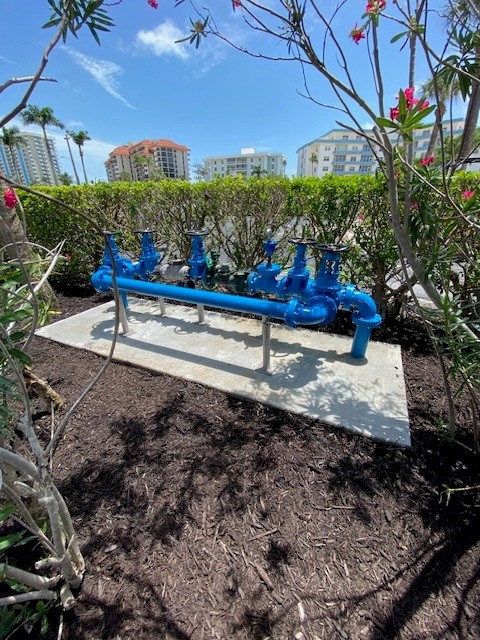 Blue backflow assembly installed outdoors on a concrete pad near landscaped buildings